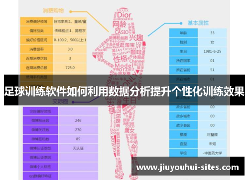 足球训练软件如何利用数据分析提升个性化训练效果